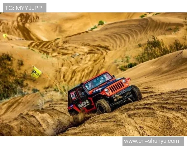 火箭飘红,开始复苏:引领未来科技的新浪潮